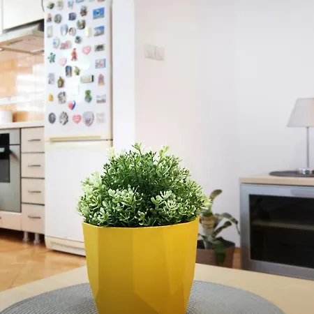 Lion - Apartment Belgrad