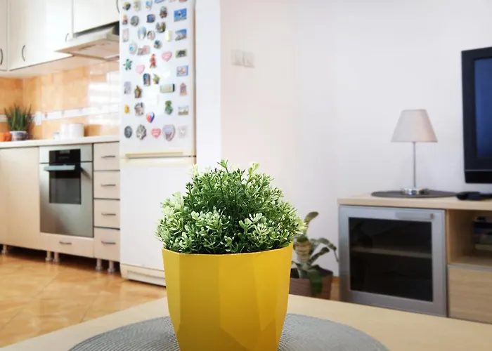 Lion - Apartman Belgrád